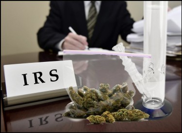 irs cannabis company rules